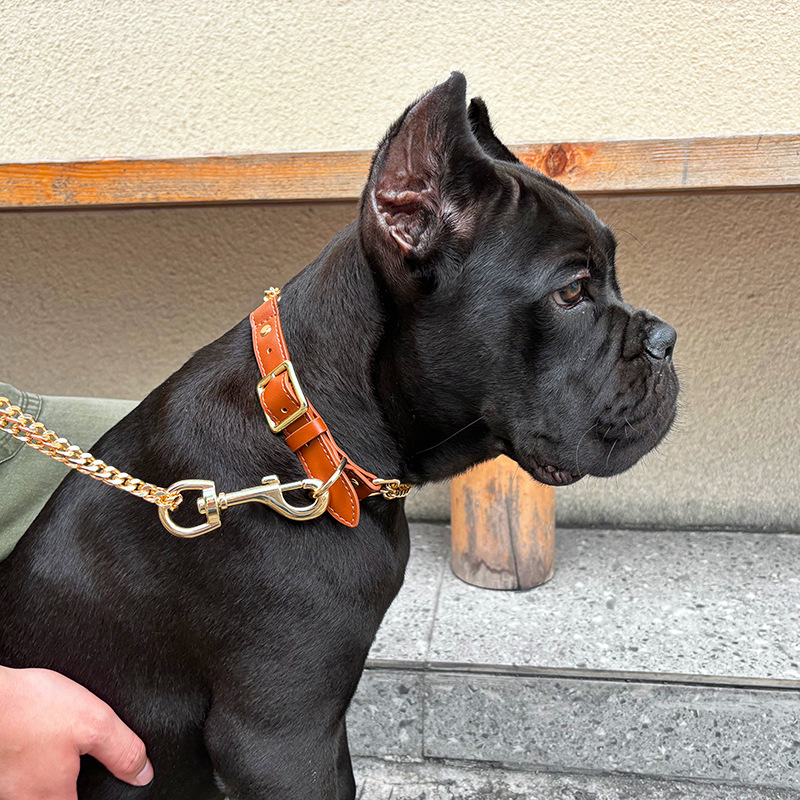 Loudik Wholesale Pet Collar Le - Leather Strap Quick Release ulasan dan harga